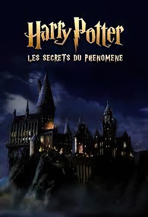 Harry Potter (Dual)