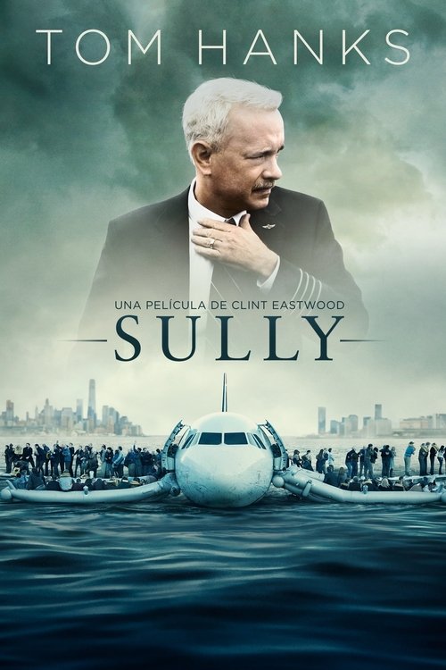 Sully: Hazaña en el Hudson (Dual)